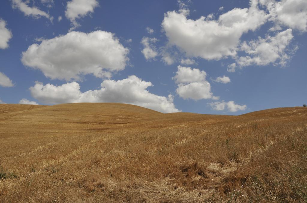 Agriturismo Podere Campaini Volterra Zewnętrze zdjęcie