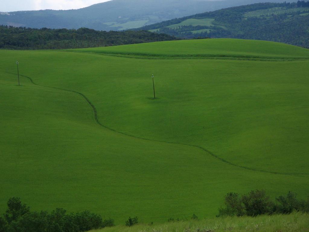 Agriturismo Podere Campaini Volterra Zewnętrze zdjęcie