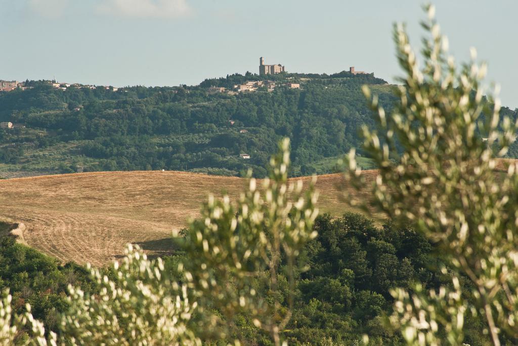Agriturismo Podere Campaini Volterra Zewnętrze zdjęcie