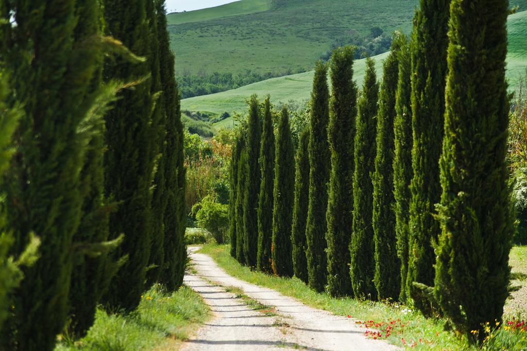 Agriturismo Podere Campaini Volterra Zewnętrze zdjęcie